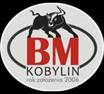 DGA Centrum Sanacji Firm S.A. Zarządca w postępowaniu restrukturyzacyjnym BM KOBYLIN Sp.
