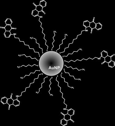 o rozmiarze ok. 2 nm modyfikowanych dwoma różnymi tiolami. W taki sposób wyeliminowany został etap wymiany ligandu na nanocząstkach złotych już po ich otrzymaniu.