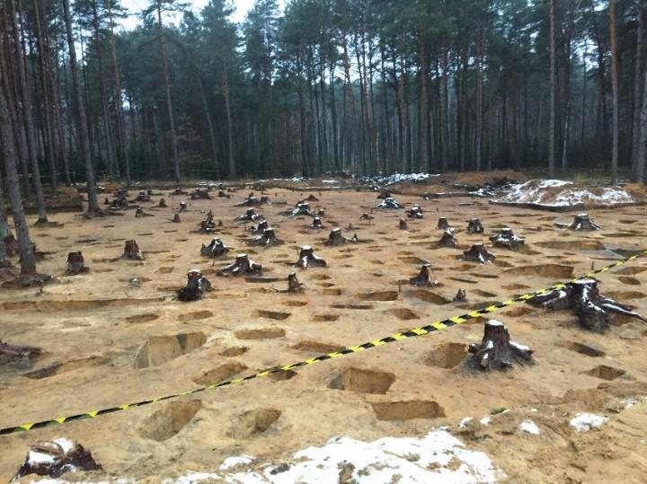 Fot. 1 Sobibór, teren byłego, nazistowskiego obozu zagłady Żydów w Sobiborze. Badania jesień 2016. Widok od północy na zakończone prace dokumentacyjne w rejonie tzw. baraków fryzjerskich. Fot. W. Mazurek.