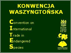 Konwencja CITES Konwencja o międzynarodowym handlu