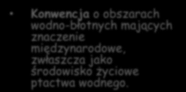 Konwencja ramsarska Konwencja o obszarach wodno-błotnych mających znaczenie międzynarodowe, zwłaszcza jako środowisko życiowe ptactwa wodnego.