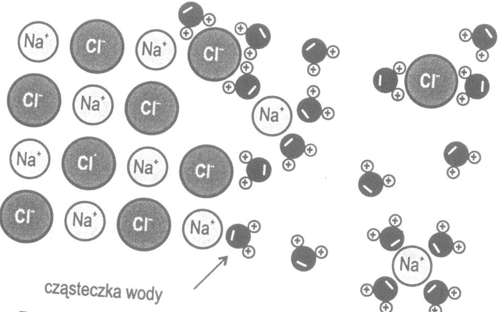 Roztwory właściwe. Proces rozpuszczania.