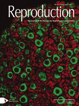 We would like to thank the expert Editorial Board for maintaining the highest quality of published papers.