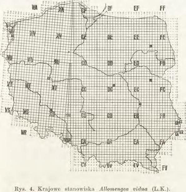 Białki (1, 4, 5, 8, 9), Durne Bagno, Hołubią (1, 2), Jelnica (1), Kosów Lacki, Kotuń, Kózki (1, 2), Lipniak, Manie, Bóżanystok. <$: kv, py III; $: kv, ky II-kY III, kx ; j: m IY -pv III, kix -m X I.