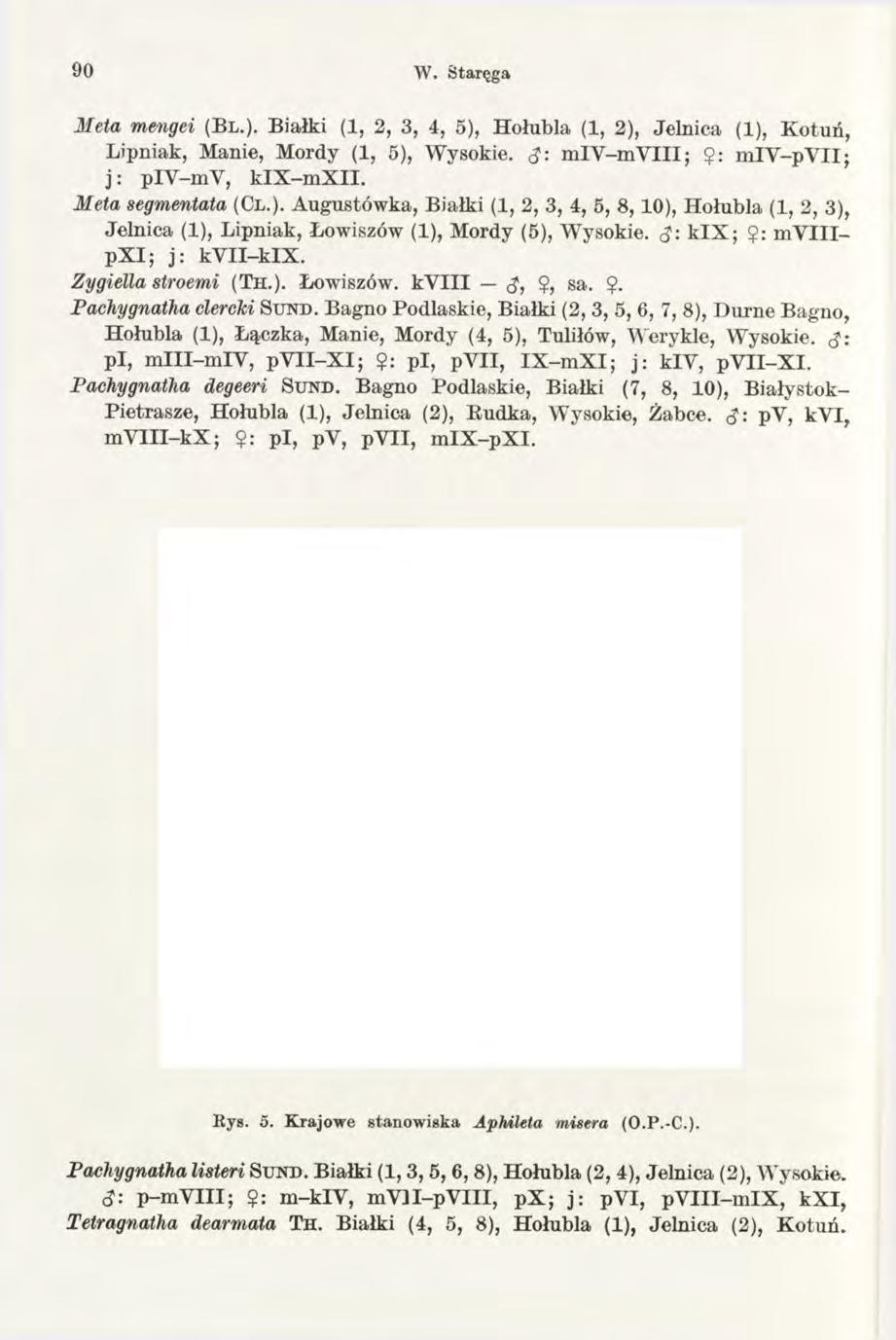 90 W. Staręga Meta mengei (Bl.). Białki (1, 2, 3, 4, 5), Hołubią (1, 2), Jelnica (1), K otuń, Lipniak, Manie, Mordy (1, 5), Wysokie. <J: m lv -m Y III; $: m ly -py II; j: piy-my, k IX -m X II.
