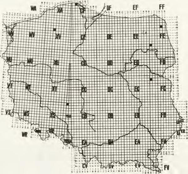 Zygiella stroemi (Th.). Łowiszów. k Y III <J, $, sa. $. Pachygnatha clerchi S u n d.