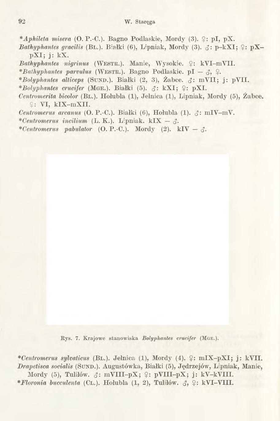92 W. Staręga *Aphileła misera (O. P.-C.). Bagno Podlaskie, Mordy (3). $: p i, px. Bathyphantes gracilis (Bl.). Białki (6), Lipniak, Mordy (3). <$: p -k X I; $: p X - p X I; j: kx.