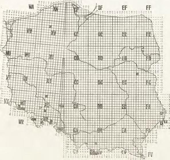 P.-C.). Lepthypliantes cristatus (M g e.). Augustówka. m Y III <$. * Lepthypliantes flavipes ( B l.). Białki (1), Lipniak, Mordy (5). <$: p Y I-k Y II, px ; $: pyi, px I; j: kly -m Y.