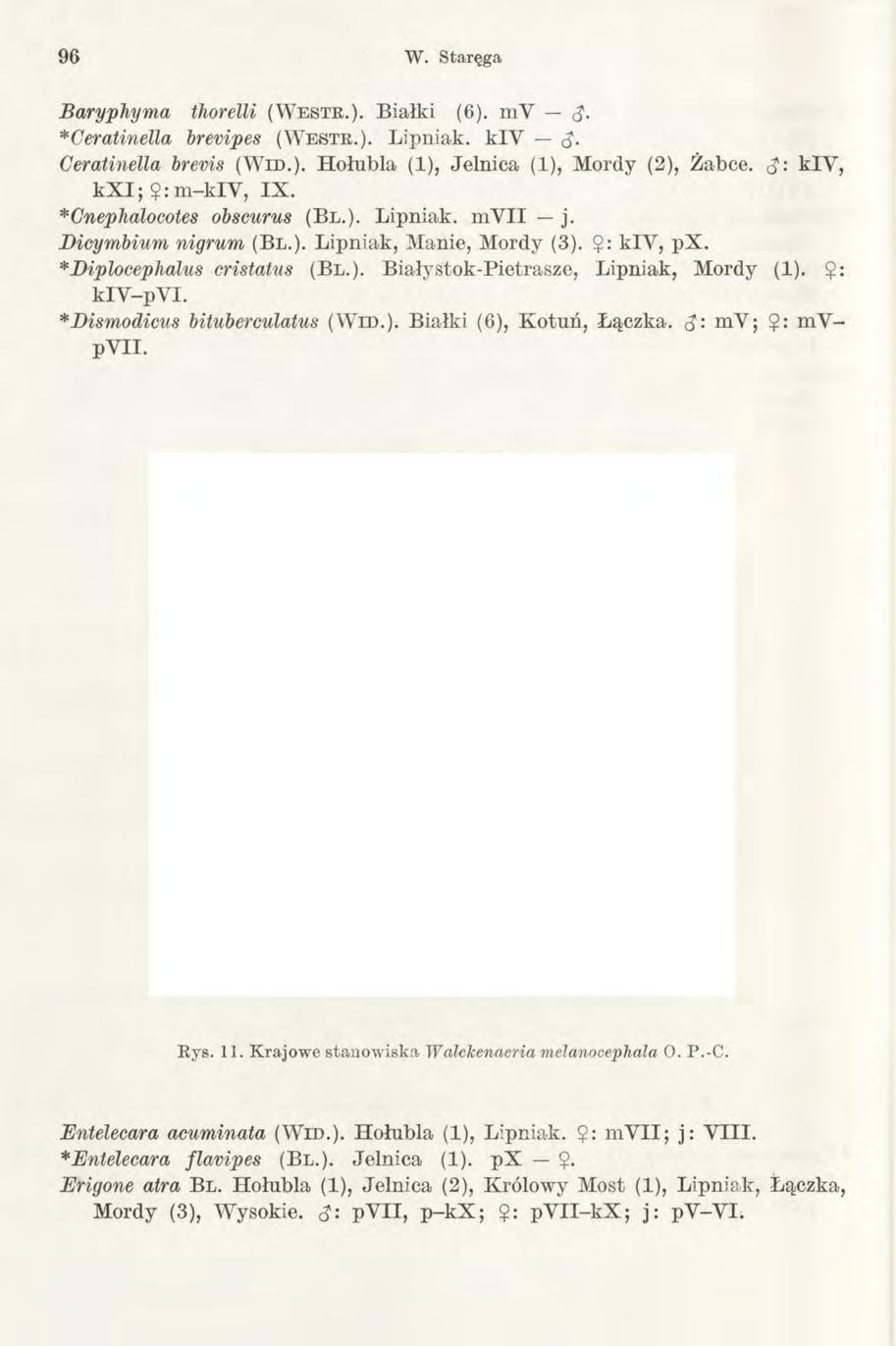 96 W. Staręga Baryphyma thorelli (W e s t r.). Białki (6). mv <$. *Ceratinella brevipes (W e s t r.). Lipniak. kly <$. Ceratinella brevis (Wid.). Hołubią (1), Jelnica (1), Mordy (2), Żabce.