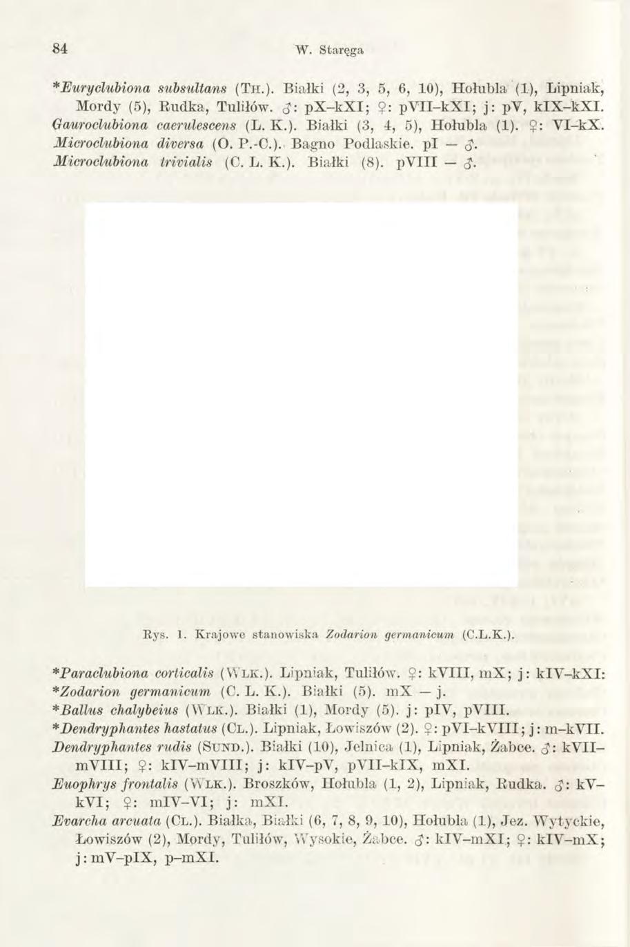 84 W. Staręga *Euryclubiona subsultans (Th.). Białki (2, 3, 5, 6, 10), Hołubią (1), Lipniak, Mordy (5), Rudka, Tuliłów. <$: px -k X I; $: p V II-kX I; j: py, kix -kx I. Gauroclubiona caerulescens (L.