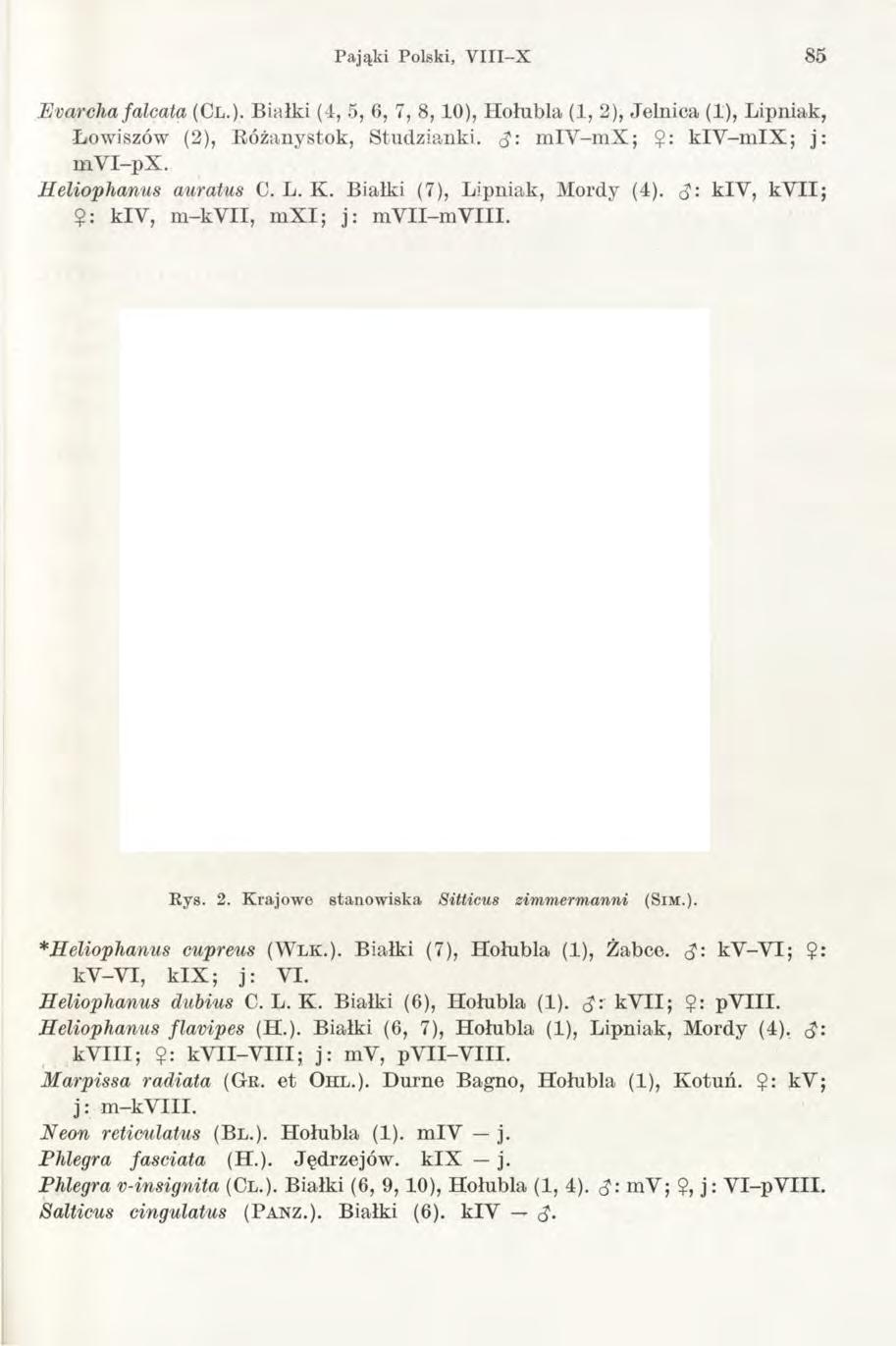 Pająki Polski, V III-X 85 Evarcha falcata (Cl.)- Białki (4, 5, 6, 7, 8,10), Hołubią (1, 2), Jelnica (1), Lipniak, Łowiszów (2), Różanystok, Studzianki. <$: m IY -m X ; $: kiv -m IX ; j: m V I-pX.