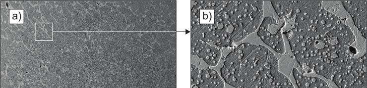 Z. A. Opiekun, W. A. Orłowicz: Corrosion of steel and spheroidal ferritic cast iron in liquid tin Rys. 5.