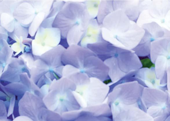 klientów nawozami organiczno-mineralnymi i