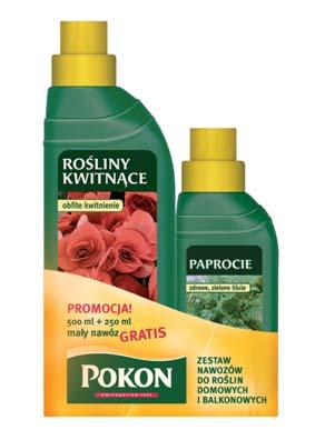 Oferta, która cieszy się