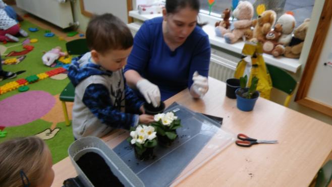 Sadzenie kwiatów z Panią Basią Najmłodsze przedszkolaki nauczyły się także nowej zabawy pt.