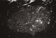 9a) z wykorzystaniem cyjanoakrylanu, chelatu europu oraz stanowiska do rejestracji luminescencji opóÿnionej Fig. 9b. Example of visualisation of fingermark (same marks as in Fig.