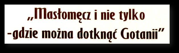W rezultacie zwiększyła się aktywność i zaangażowanie mieszkańców w rozwiązywaniu własnych problemów.