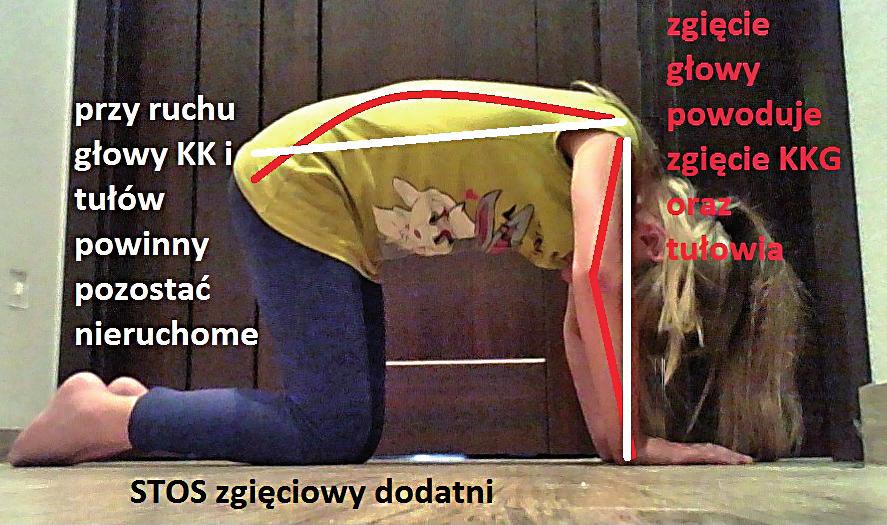 Zastosowano test U Manna-Whitneya. Istotność ob liczono na poziomie p,5.