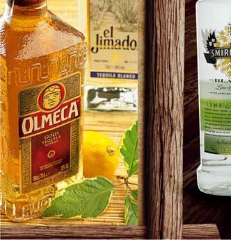 49 TEQUILA SIERRA MILENARIO 41,5% 700 ML