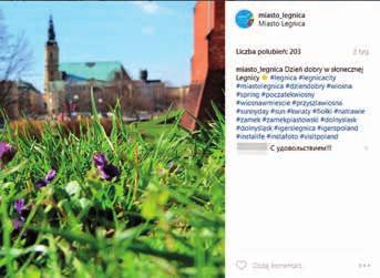 8 Z OFICJALNYCH PROFILÓW MIASTA Witaj wiosno, witajcie magnolie! Wiosna w Legnicy już się rozgościła.