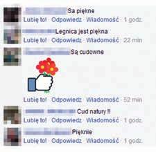Ich kwiaty i zapach sprawiają, że miejsce staje się magiczne nie tylko w dzień, ale również nocą.