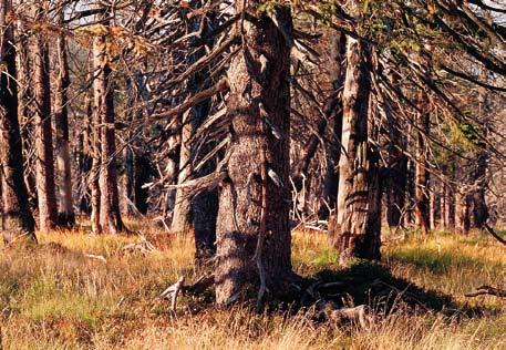 1990 rok) (AR) Współczesny widok na