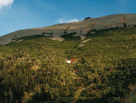 Górna granica lasu na stokach Śnieżki (RK) Panorama lasów Karkonoskiego Parku Narodowego (RK) w tym regionie nasilały lub osłabiały proces pozyskiwania drewna z karkonoskich lasów.