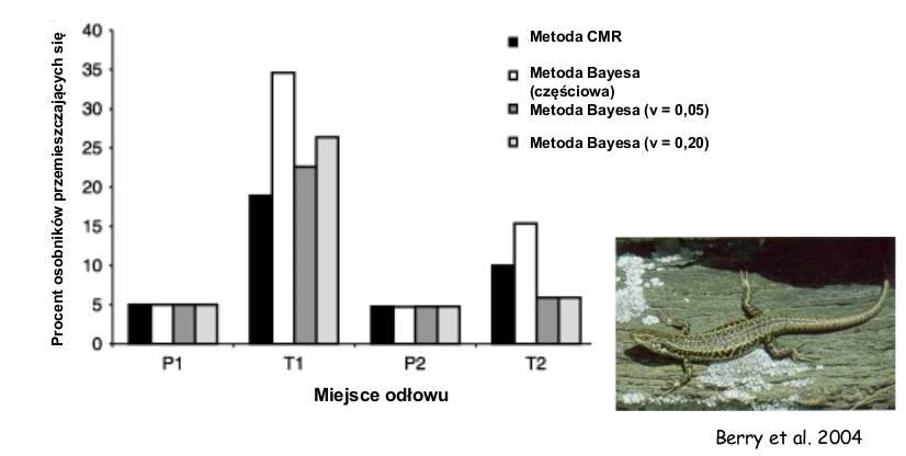Dyspersja i migracje Porównanie metod Procent scynków Oligosoma grande