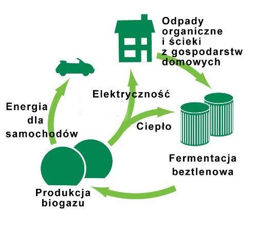 Produkty fermentacji BIOGAZ metan: 45 60% dwutlenek węgla: 25-35% azot: 7-10%