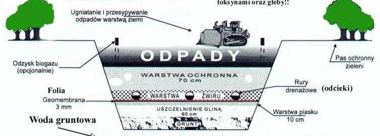 Przykładowe