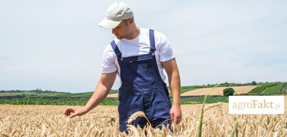 .pl https://www..pl Przepisy o sprzedaży nieruchomości Skarbu Państwa: znów łatwiej o kredyt!