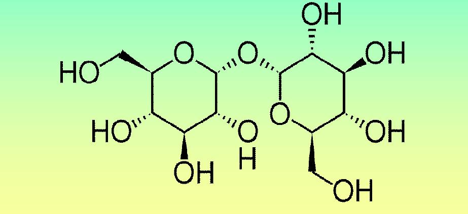 Trehaloza, dwucukier nieredukujący