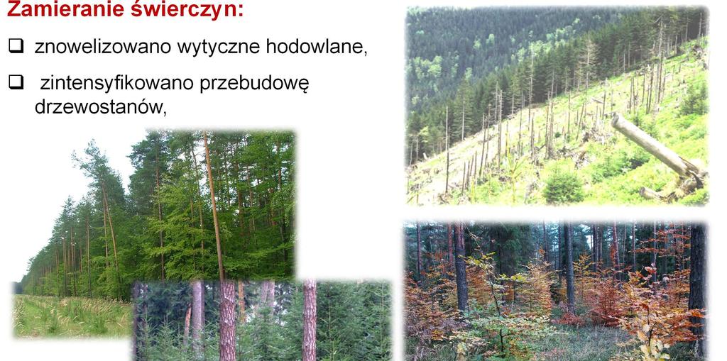 Klęski impulsem zmian