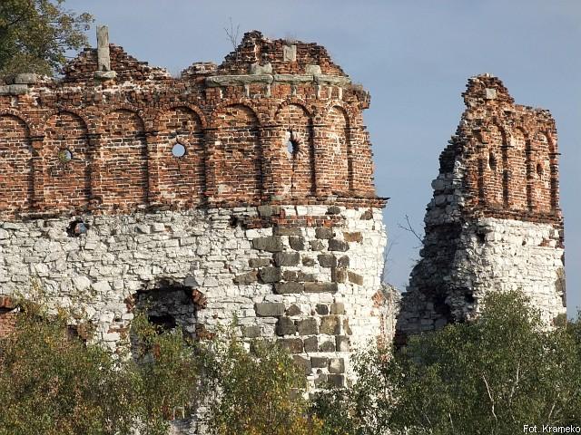 Problemy szczegółowe Rozpad zabytków architektury zamek Tenczyn w Rudnie,