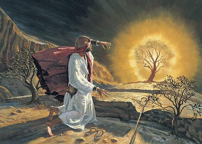 Historia Mojżesza - powołanie Wj 3,1 4,17 Mojżesz spotyka na pustyni krzew gorejący. W ten sposób objawia mu się Bóg.