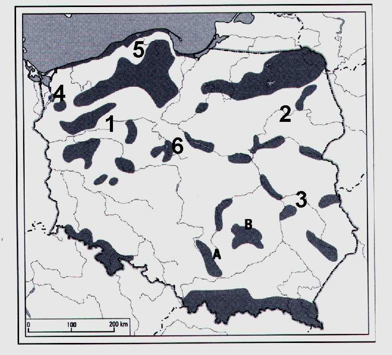Zadanie 21. (0 1) Podkreśl zestaw województw charakteryzujący się największą lesistością w Polsce.