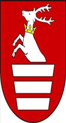 PROJEKT Strategia Rozwoju