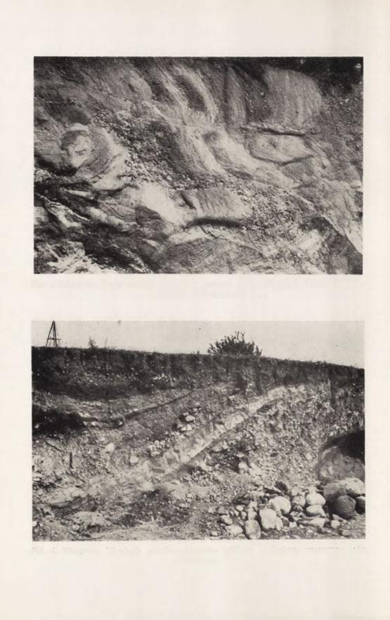 Fot. 3. Wargawa. Bryły osadów utworzone podczas zsuwu.