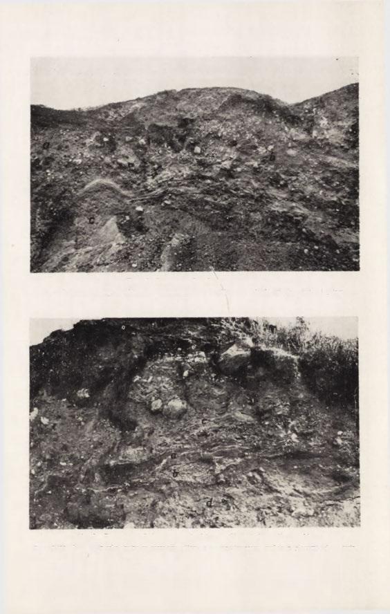 Fot. 7. Daszyna. Struktura osadów a kamienista seria osadów; b gliniasta seria osadów; c bryły piasku, wiru i gliny Fot. 8.
