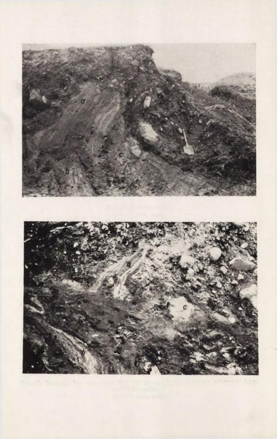 Fot. 11. Daszyna. a, b, c bryły mułku Zsuw Fot. 12. Daszyna. Ten sam zsuw (fot.