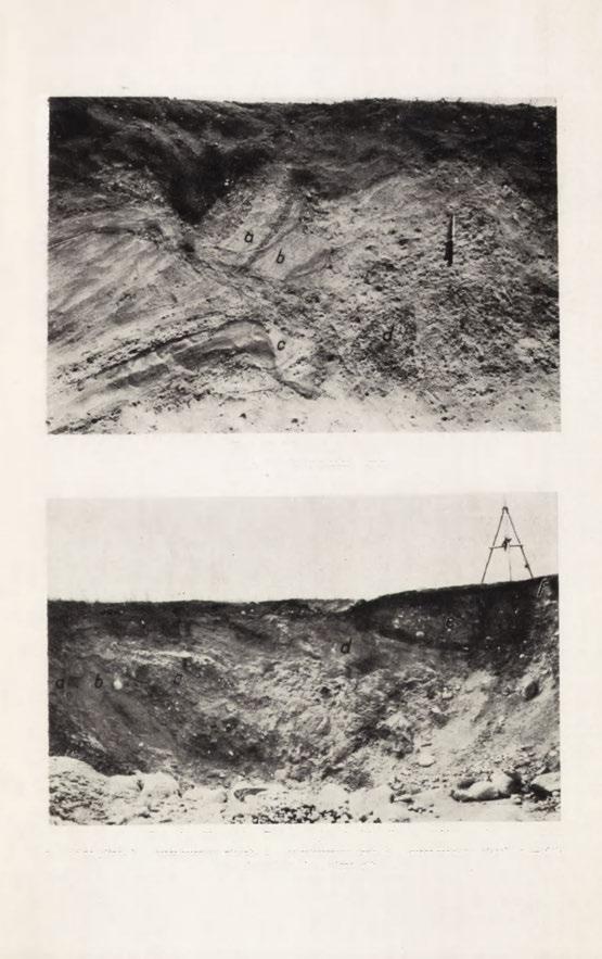 Fot. 13. Walew. Obryw a, b, c, d bryły piasku i żwiru Fot. 14. Sławęcin.