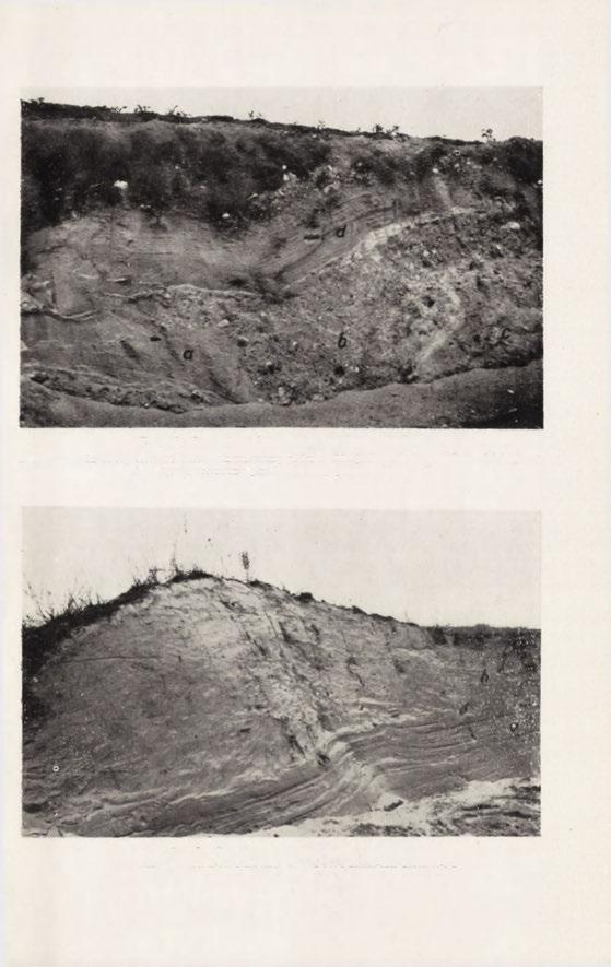 Fot. 17. Góra Sw. Małgorzaty.