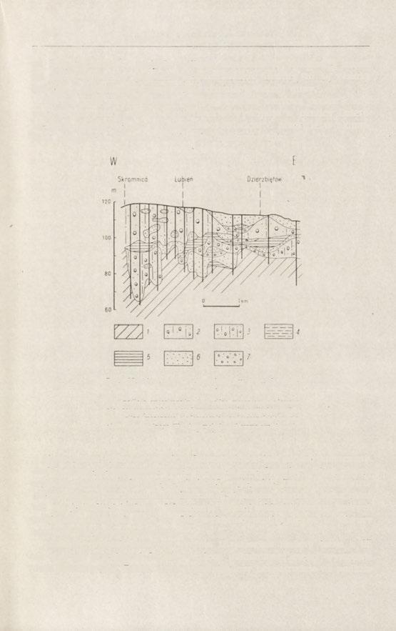 Litologia i stratygrafia czwartorzędu 25 on bezpośrednio na skałach podłoża, natomiast w środkowej części na iłach, żwirach i piaskach plejstoceńskich.