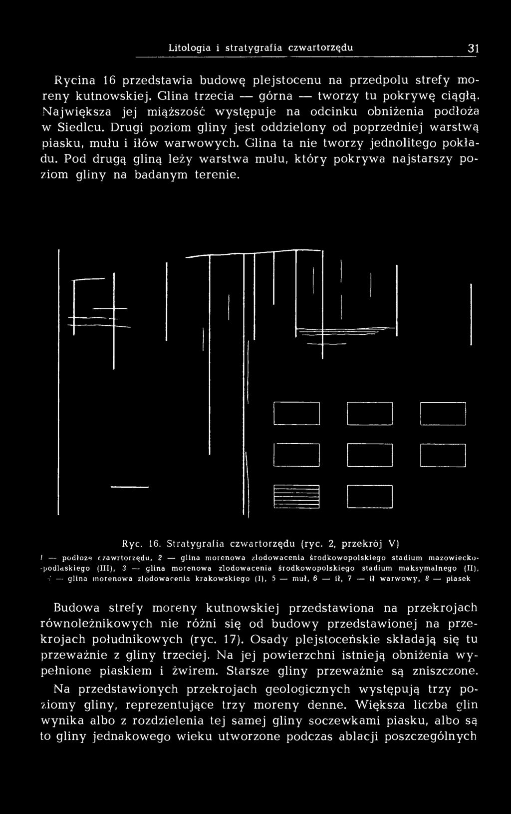 Glina ta nie tworzy jednolitego pokładu. Pod drugą gliną leży warstwa mułu, który pokrywa najstarszy poziom gliny na badanym terenie. Ryc. 16. Stratygrafia czwartorzędu (ryc.