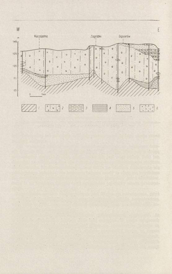 32 S. Jewtuchowicz Ryc. 17. Stratygrafia czwartorzędu (ryc.