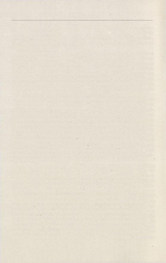 50 S. Jewtuchowicz wówczas bryły te tworzą pozorny wysad (fot. 11).