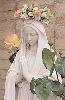 Irving Park Catholic Woman s Club The Irving Park Catholic Woman s Club will hold their meeting on May 4th at 10:30 AM in St. Ferdinand Canning Hall.