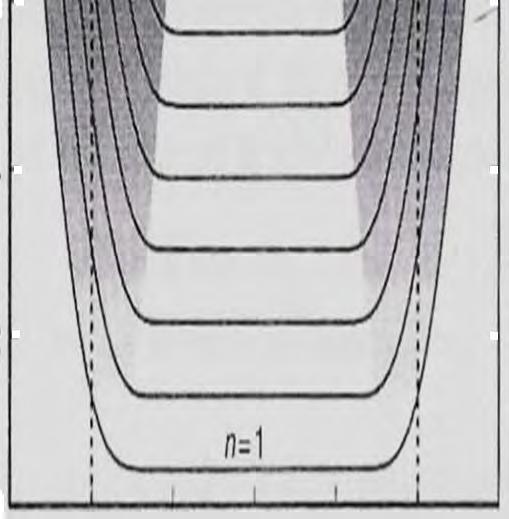 Pole