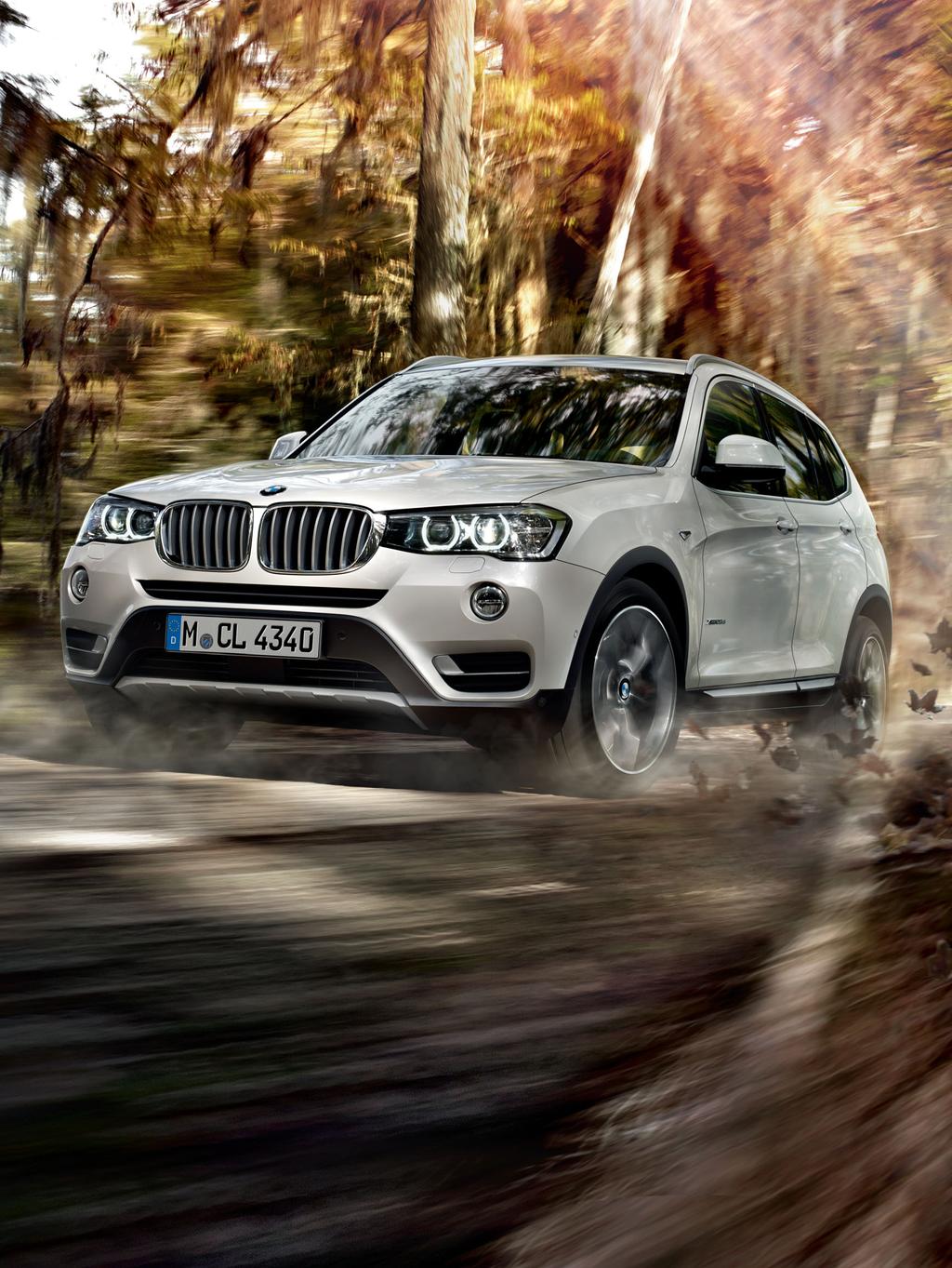 BMW X.