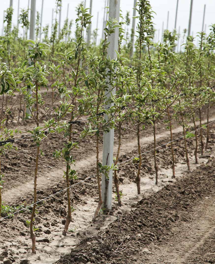 n Przyspiesza rozkład substancji organicznych n Tworzy odpowiednią strukturę i modyfikuje skład gleby n Zwiększa populację pożytecznych organizmów glebowych Miejsca w których stosowano Biogen REWIRAL